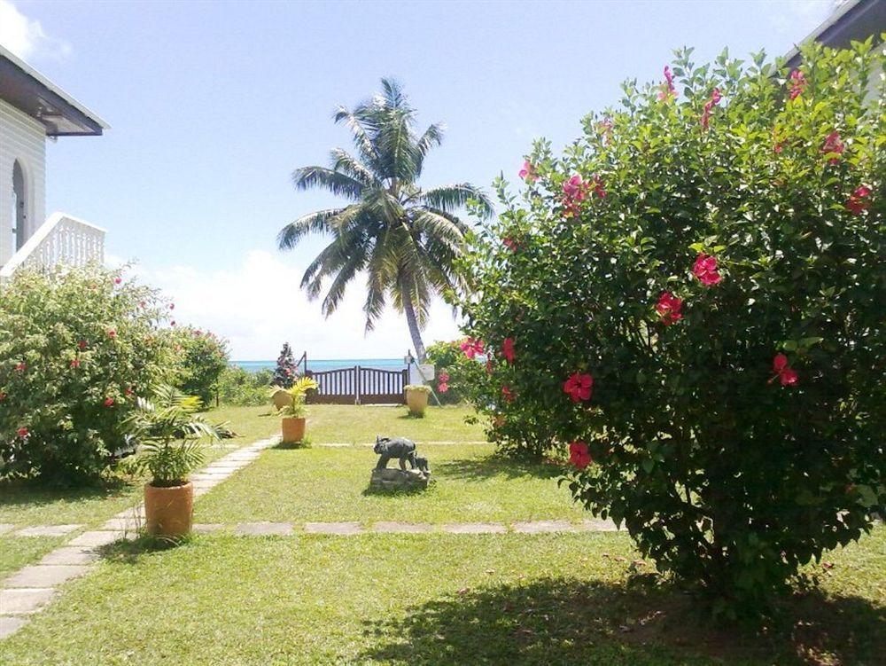 เลอ ทร็อพปิเก้อ วิลล่า Grand Anse  ภายนอก รูปภาพ
