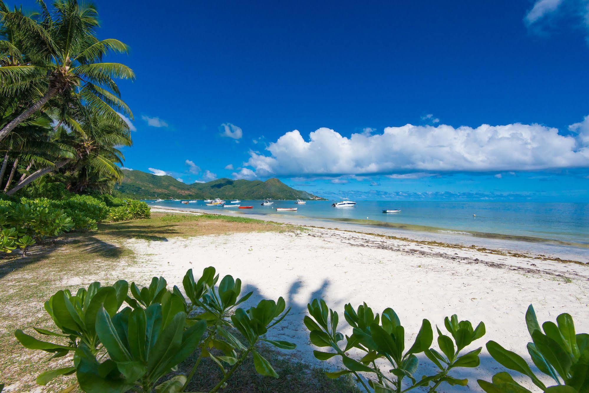 เลอ ทร็อพปิเก้อ วิลล่า Grand Anse  ภายนอก รูปภาพ